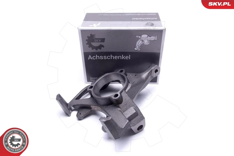 Steering Knuckle, wheel suspension